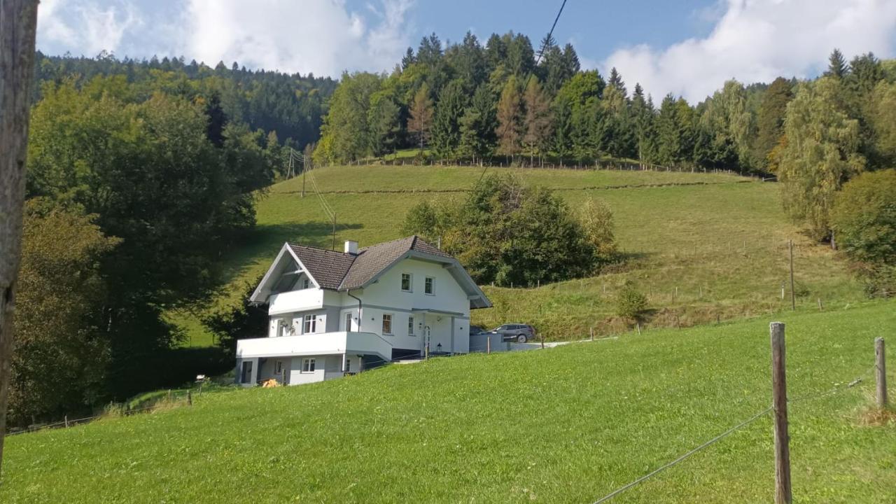 Aparts Lakeview -Gerlitzen -Ossiacher See -Ski Tratten  エクステリア 写真